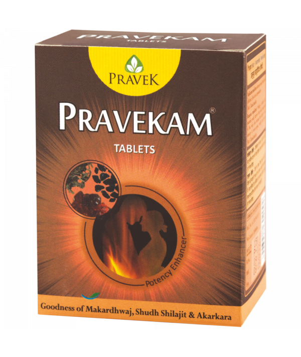 Pravekam-600×711